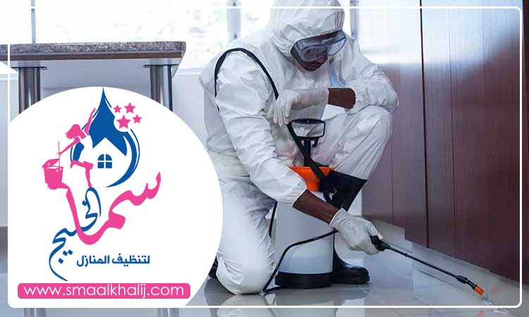 شركة رش مبيدات الشارقة