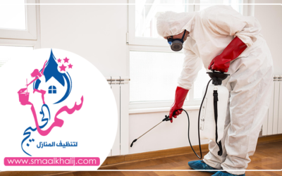 شركة رش مبيدات الفجيرة