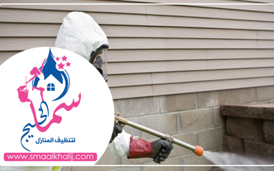 شركة رش مبيدات ام القيوين