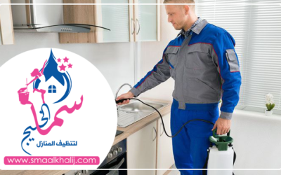 شركة رش مبيدات دبي