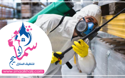 شركة رش مبيدات راس الخيمة