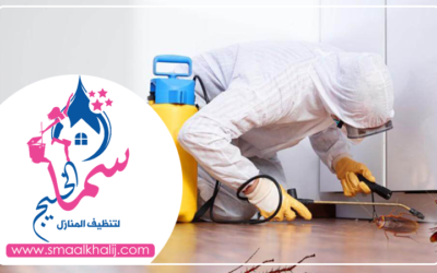 شركة مكافحة الصراصير راس الخيمة