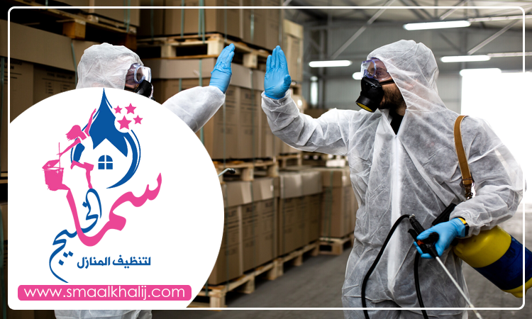 شركة مكافحة حشرات