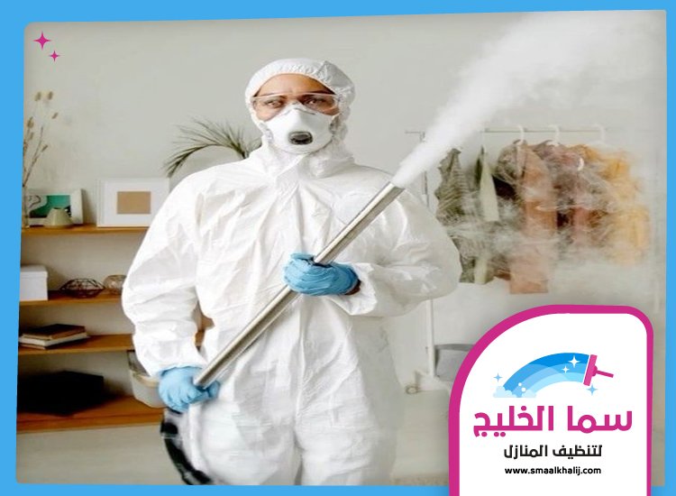 شركة رش مبيدات دبي 5 شركة رش مبيدات دبي