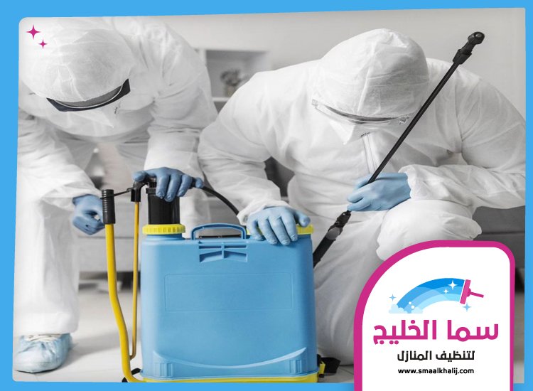 شركة رش مبيدات دبي 4 شركة رش مبيدات دبي