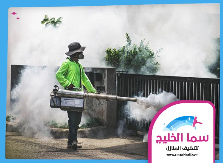 شركة رش مبيدات عجمان 4 شركة رش مبيدات عجمان