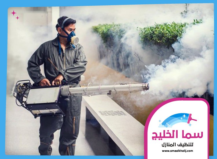 شركة رش مبيدات عجمان 5 شركة رش مبيدات عجمان