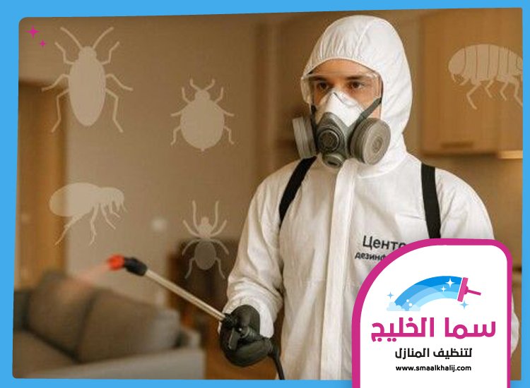 مكافحة بق الفراش في الفجيرة 3 مكافحة بق الفراش في الفجيرة