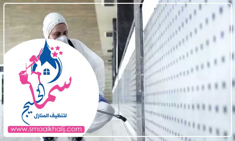 شركة مكافحة حشرات في الرمثاء