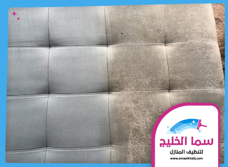 شركة مكافحة حشرات في ام سقيم