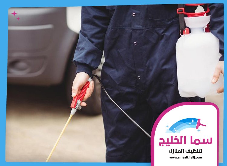 شركة مكافحة الرمة في ميسلون 4 شركة مكافحة الرمة في ميسلون
