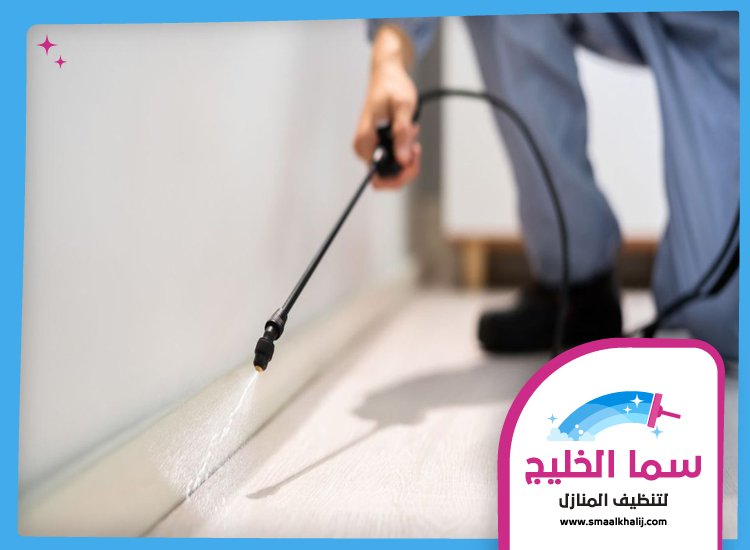 شركة مكافحة الرمة في ميسلون 3 شركة مكافحة الرمة في ميسلون