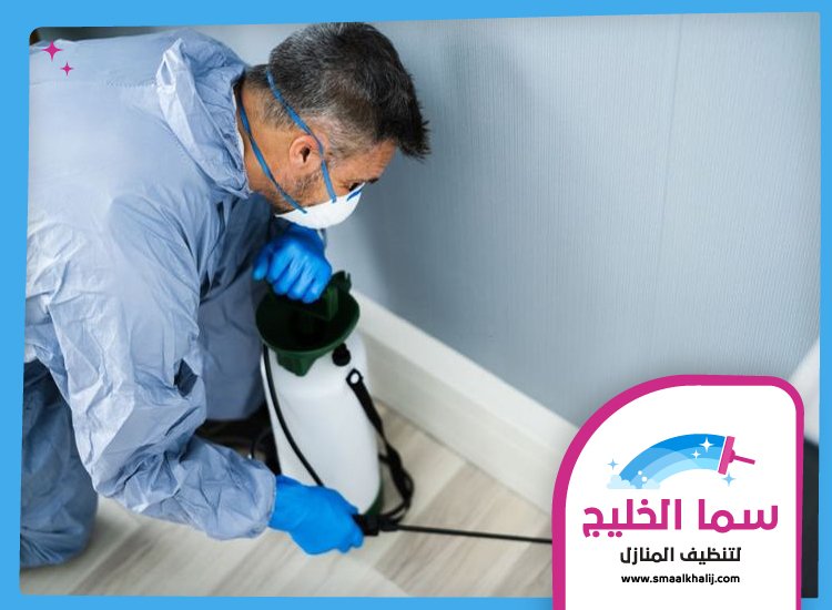 شركة مكافحة الرمة فى قرهود 4 شركة مكافحة الرمة فى قرهود