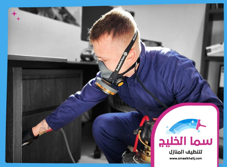 شركة مكافحة الرمة في ميسلون 5 شركة مكافحة الرمة في ميسلون