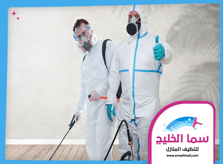 شركة مكافحة حشرات العين 5 شركة مكافحة حشرات العين