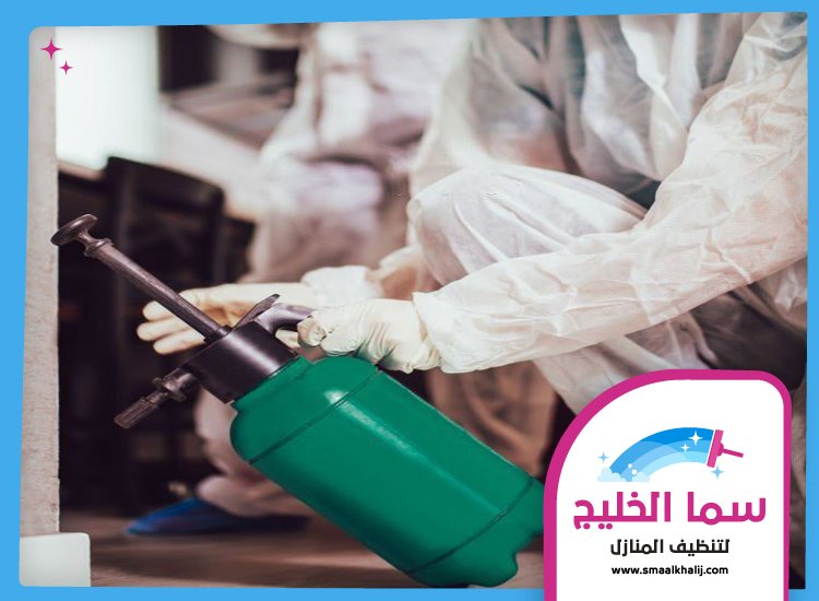شركة مكافحة حشرات في لهباب 3 شركة مكافحة حشرات في لهباب