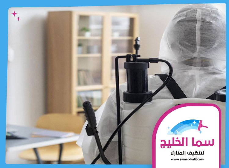 شركة مكافحة حشرات العين 4 شركة مكافحة حشرات العين