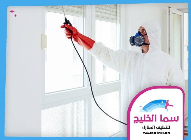 شركة مكافحة حشرات في راس الخيمة 4 شركة مكافحة حشرات في راس الخيمة