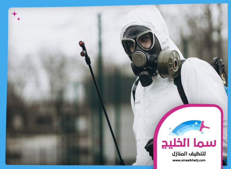 شركة مكافحة حشرات في راس الخيمة 5 شركة مكافحة حشرات في راس الخيمة