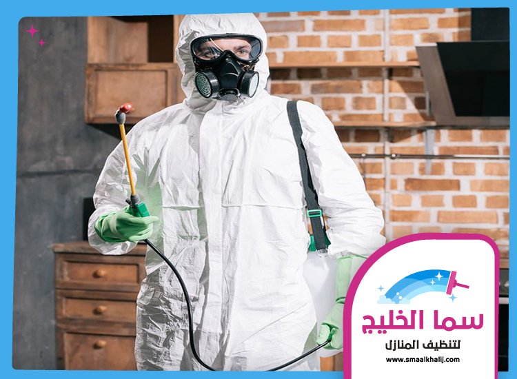 شركة مكافحة حشرات العين 2 شركة مكافحة حشرات العين