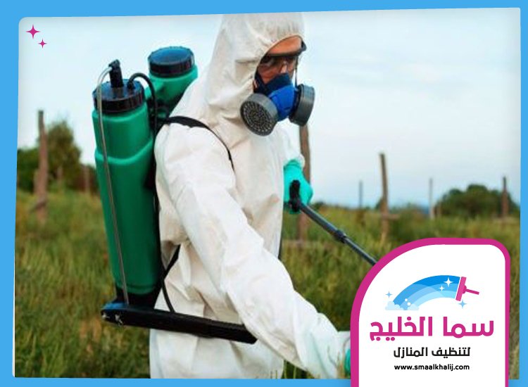 شركة رش مبيدات راس الخيمة 5 شركة رش مبيدات راس الخيمة