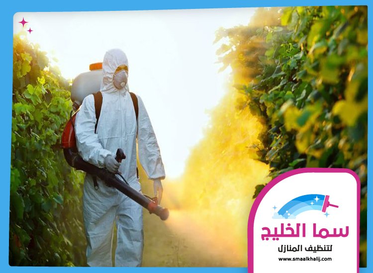 شركة رش مبيدات راس الخيمة 4 شركة رش مبيدات راس الخيمة