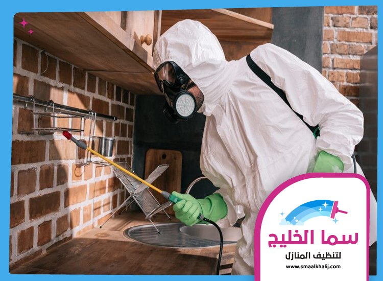 شركة رش مبيدات الفجيرة 5 شركة رش مبيدات الفجيرة