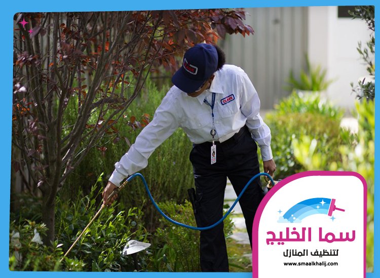 شركة رش مبيدات الفجيرة 4 شركة رش مبيدات الفجيرة