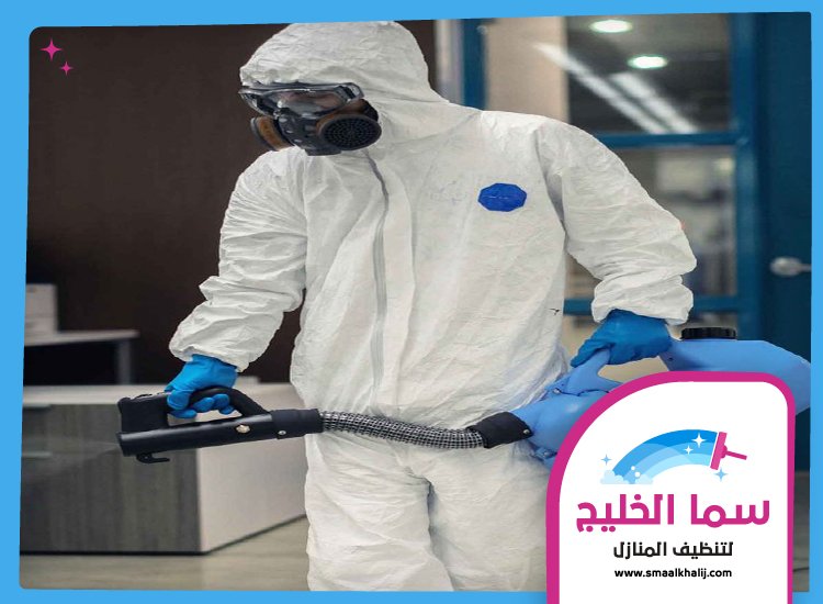 شركة رش مبيدات الفجيرة