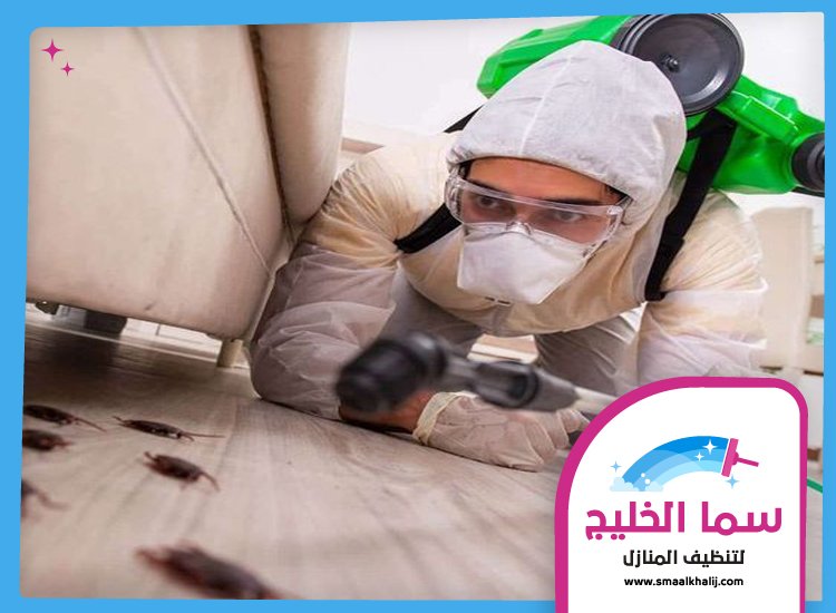 شركة مكافحة حشرات في الشارقة 5 شركة مكافحة حشرات في الشارقة