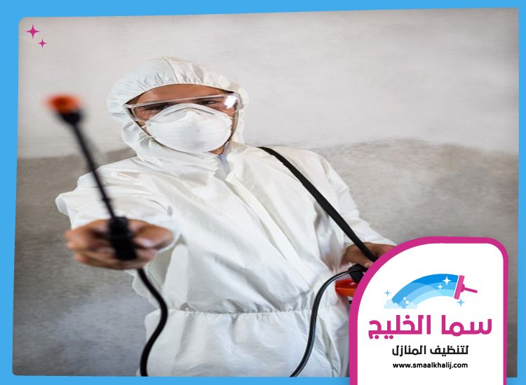 شركة مكافحة حشرات في ند الحمر 3 شركة مكافحة حشرات في ند الحمر