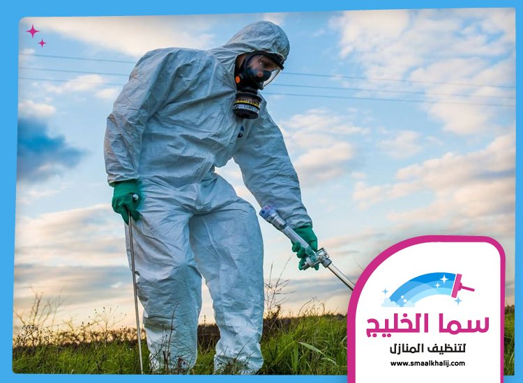 شركة مكافحة حشرات في ند الحمر 2 شركة مكافحة حشرات في ند الحمر