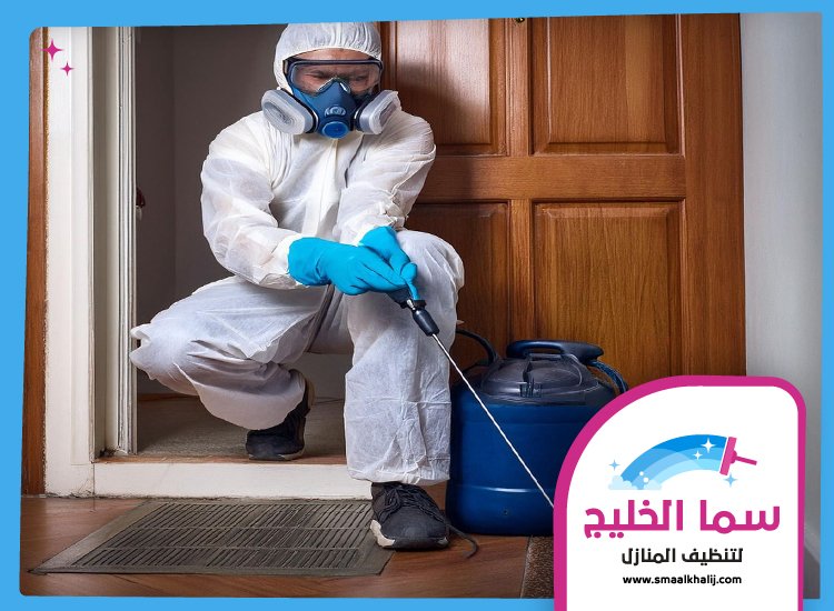 شركة مكافحة حشرات في دبي 4 شركة مكافحة حشرات في دبي