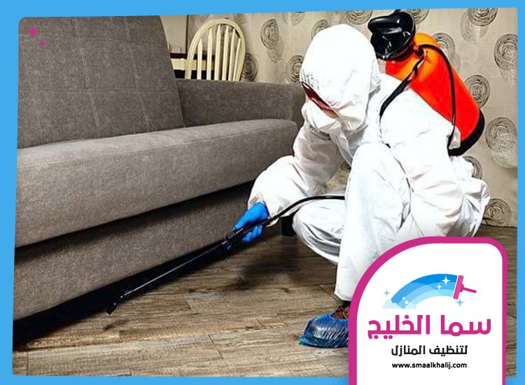 شركة مكافحة حشرات في البرشاء 3 شركة مكافحة حشرات في البرشاء