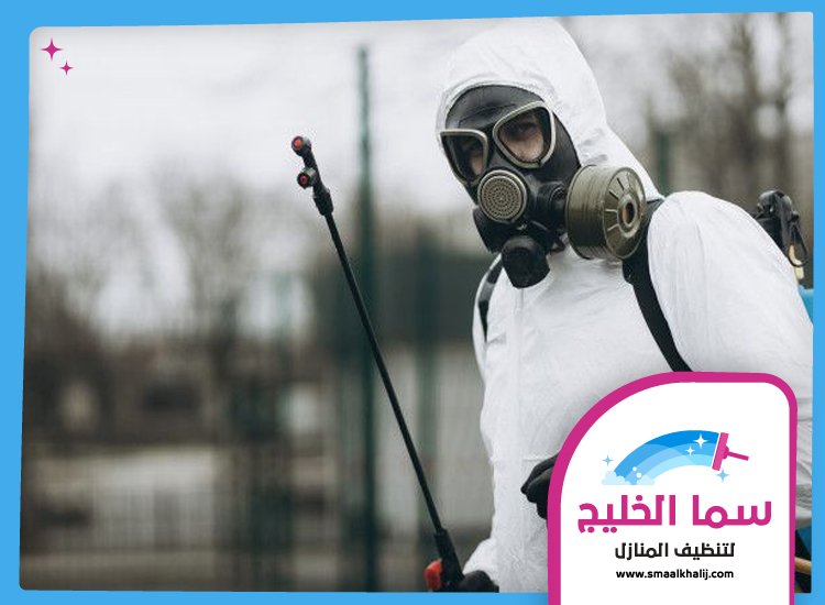 شركة مكافحة حشرات في دبي 5 شركة مكافحة حشرات في دبي