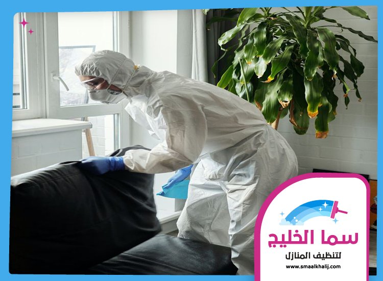 شركة مكافحة حشرات في المزهر 2 شركة مكافحة حشرات في المزهر