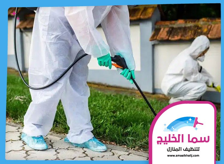شركة مكافحة حشرات في المزهر 4 شركة مكافحة حشرات في المزهر