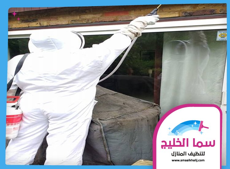 شركة مكافحة حشرات في المزهر 5 شركة مكافحة حشرات في المزهر