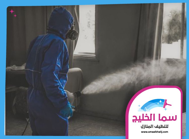 شركة مكافحة حشرات في الخوانيج 2 شركة مكافحة حشرات في الخوانيج