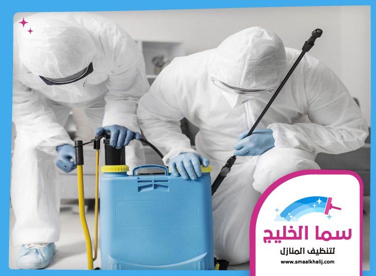 شركة مكافحة حشرات في الخوانيج 3 شركة مكافحة حشرات في الخوانيج