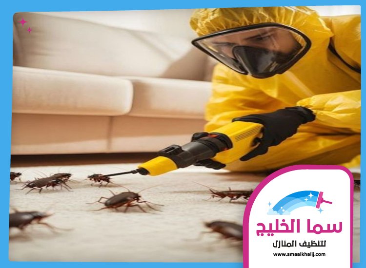 شركة مكافحة حشرات في الخوانيج 4 شركة مكافحة حشرات في الخوانيج