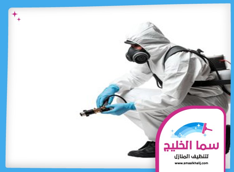 شركة مكافحة حشرات في الخوانيج 5 شركة مكافحة حشرات في الخوانيج