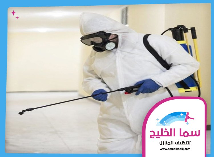 شركة مكافحة حشرات في القوز 5 شركة مكافحة حشرات في القوز