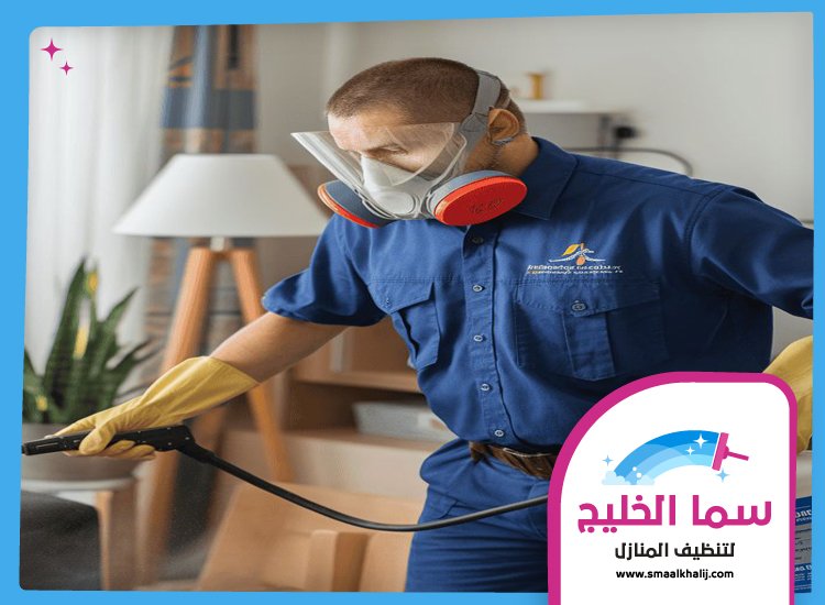 شركة مكافحة حشرات في القوز 3 شركة مكافحة حشرات في القوز