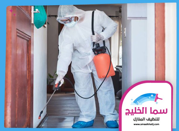 شركة مكافحة حشرات في الكرامة 5 شركة مكافحة حشرات في الكرامة