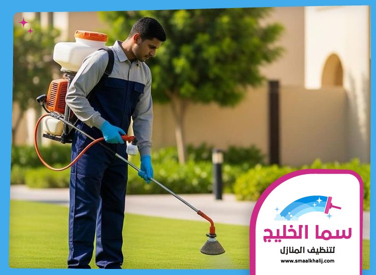 شركة مكافحة حشرات في محيصنة 5 شركة مكافحة حشرات في محيصنة