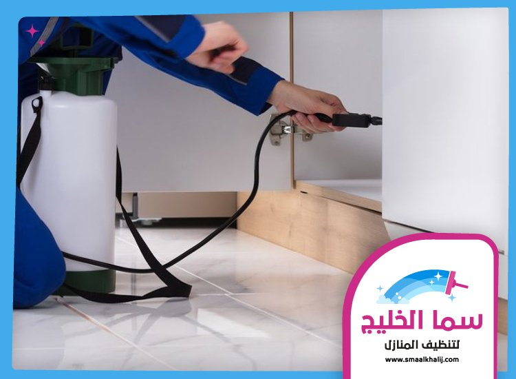 شركة مكافحة حشرات في محيصنة 3 شركة مكافحة حشرات في محيصنة
