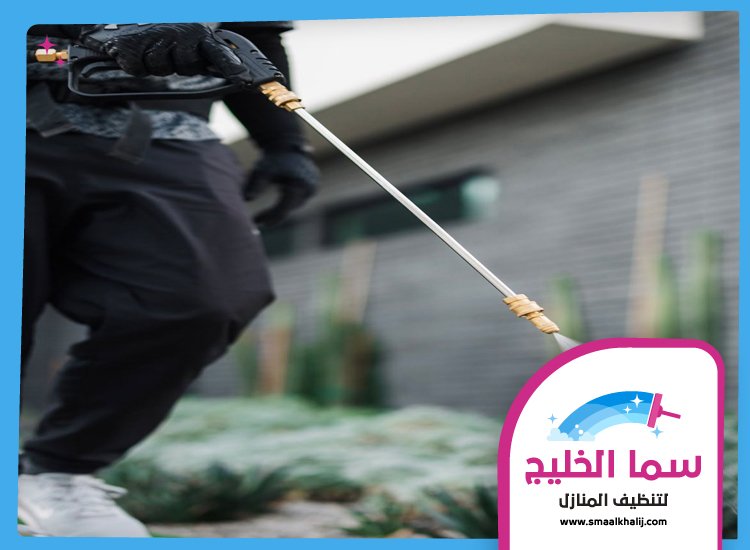 شركة مكافحة حشرات في محيصنة 4 شركة مكافحة حشرات في محيصنة