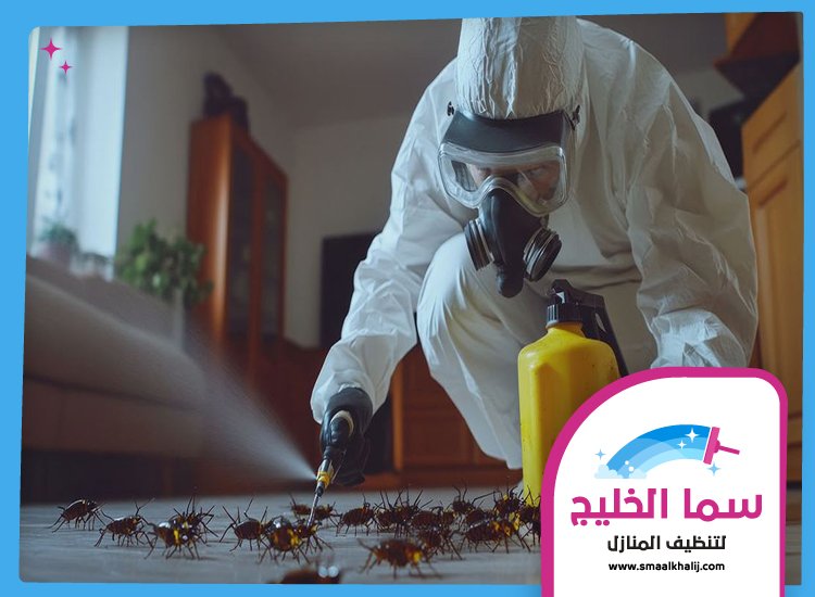 شركة مكافحة حشرات في الجميرا 4 شركة مكافحة حشرات في الجميرا