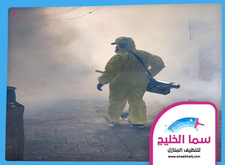 شركة مكافحة حشرات في ام سقيم 4 شركة مكافحة حشرات في ام سقيم